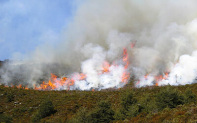 Evolution du risque d’incendie de forêt dans les dernières décennies et dans le futur