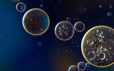 Sciences et techniques : quel(s) rapport(s) ?