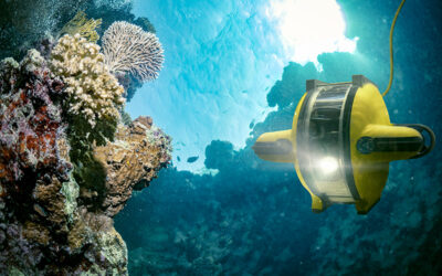 Océan et CO2 : des robots pour mieux comprendre