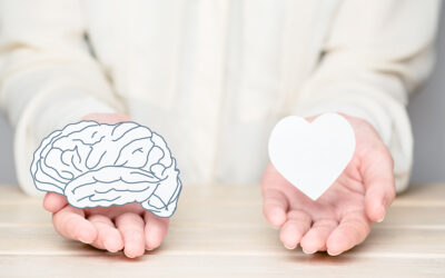 Neurobiologie des émotions : notre cerveau a-t-il du cœur ?