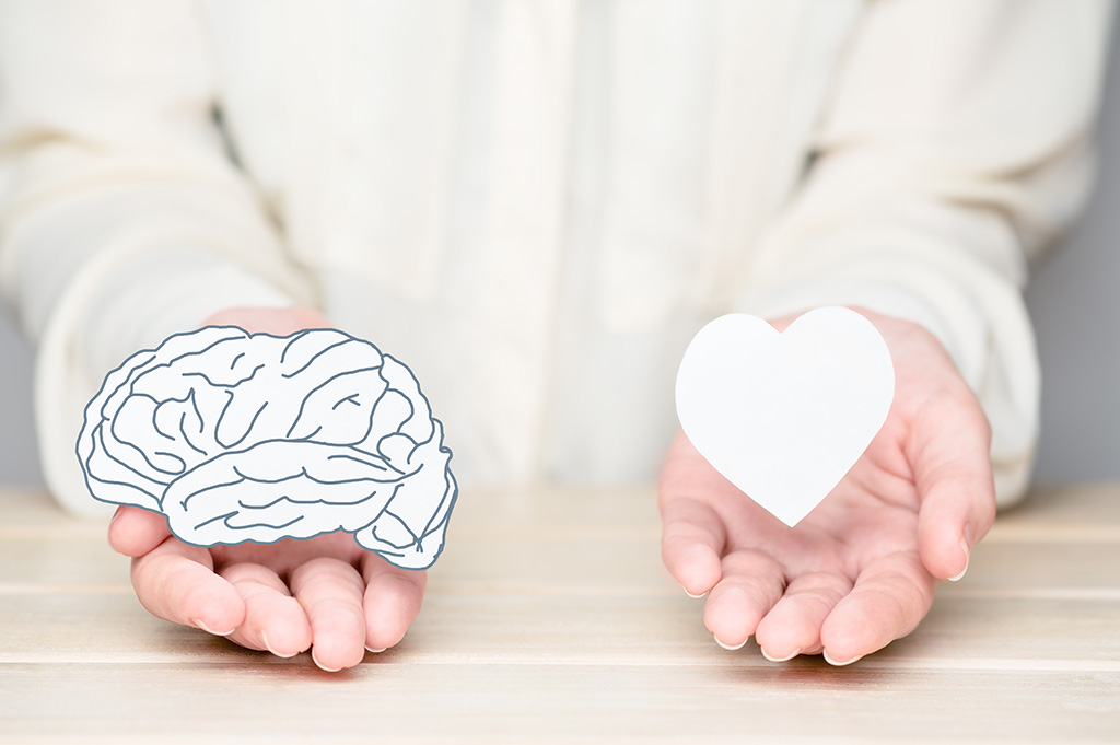 Neurobiologie des émotions : notre cerveau a-t-il du cœur ?